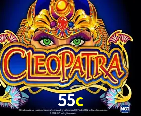 Descubra a Essência do 55c: Nossa História e Compromissos
